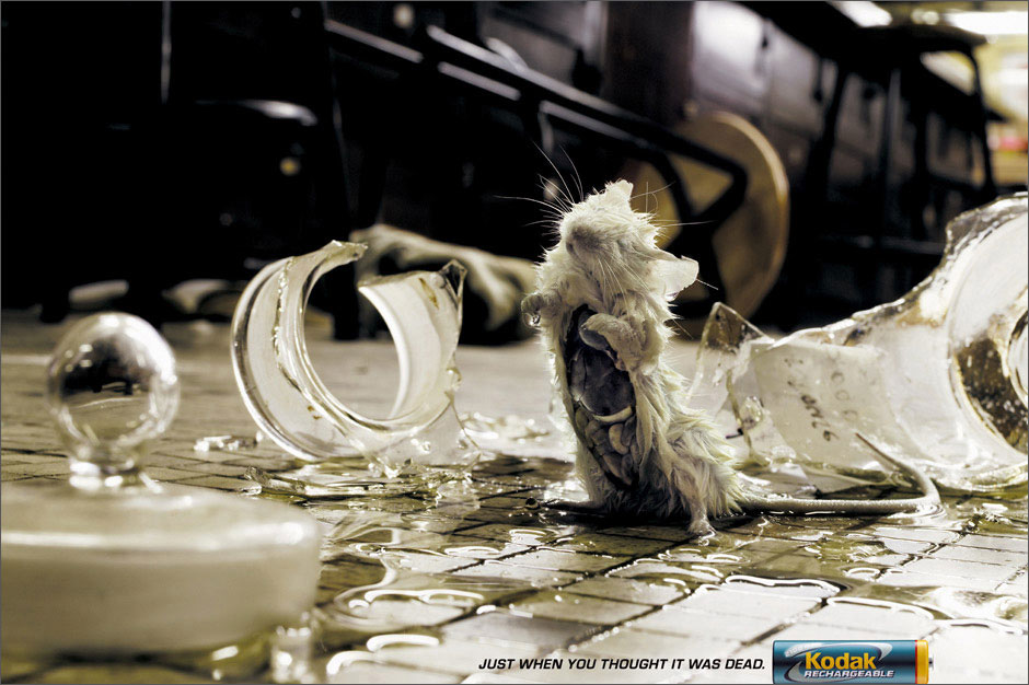 Kodak Rechargeable_ ,   ,   